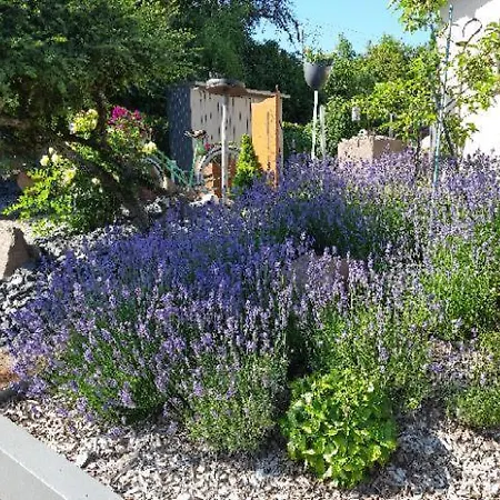 Appartement Pint Bickendorf