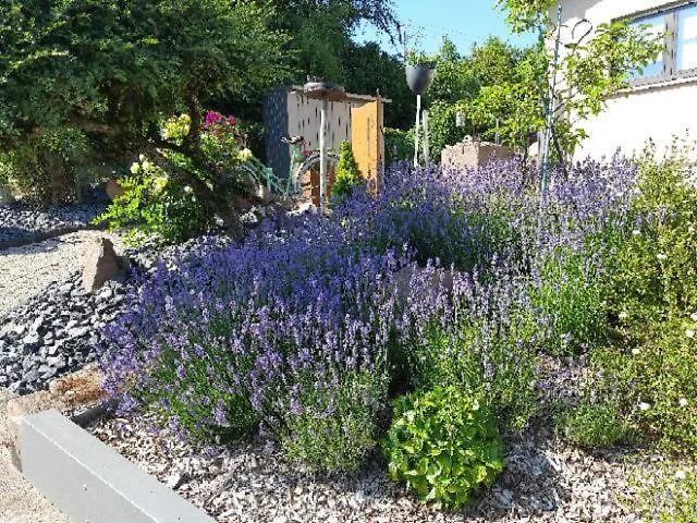 Apartamento Pint Bickendorf